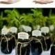 12 Ultimate Great Ideas For Lovely Plant Wedding Favors