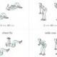 Chest And Back Strengthening Exercises