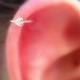 Tragus Earring - Helix Ring - Cartilage Earring - Nose Ring Hoop - Sterling Silver Heart 7 Mm Inner Diameter Tragus Hoop Piercing