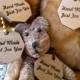 Custom Laser Engraved Birch Ply Wood Tags (set of 25)