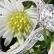 18k White Gold Tacori 2620RD Dantela Crown Diamond Engagement Ring For 1ct Center