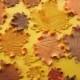 20 edible fall maple leaves fondant Thanksgiving cupcake cake toppers autumn vintage country decorations rustic
