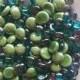 Vase Filler, Peacock Flat Back Glass Gem Mix-DISCOUNTED BULK OPTIONS-Green, Purple, Teal, Flat Marbles, Mosaic Tiles, Floral, Wedding