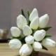 Real Touch Silk Bridal Bouquets White Mini Tulips Table Centerpieces Artificial Tulips Craft Supplies