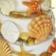 edible sea shells with sand natural color set of 65