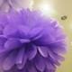 Mix of 21 Tissue Paper Pom Pom Balls - Party Decorations - Wedding Decorations - Pom Pom Decorations - Paper Balls - Nursery - Christmas