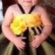 little miss bumblebee tutu with matching headband & removable sash, halloween dress, special occasion dress, dress up