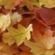 Edible Fall Leaves, Wafer Paper Toppers for Cakes, Cupcakes or Cookies, Wedding Cake Decorations - Color on Both Sides