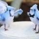 Blue Jay Wedding Cake Topper in Sky Blue: Bride & Groom Love Bird Cake Topper -- LoveNesting Cake Toppers