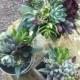 Succulent bouquet, variety of textures and colors