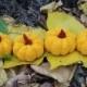 Crochet pumkins,  crochet amigurumi,  crochet vegeteble,  autumn decor, yellow pumkins, halloween decor