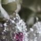 Wedding earrings, flower earrings, sterling silver earrings, pink topaz earrings, bridal jewelry, floral jewelry, heirloom jewelry, romantic