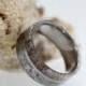 Titanium Ring, Mens Deer Antler Wedding Band, Gibeon Meteorite Ring, Mens Wedding Band