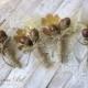 Fall Wedding Boutonnieres Groom Boutonnieres Oak Cones Leaf Boutonnieres Groomsmen Boutonnieres