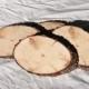 6 Inch Wood Slices, Oblong Wood Slices, Large Wood Slices, Pine Slices, Tree Slices, Rustic Wedding Slices