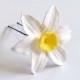 Large Daffodils Hair Pin, Flowers Hair Accessory, Yellow - White Daffodils Hair Pin, Hair Pin Flowers