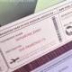 Travel Escort Seating Ticket / DIY Printable Interactive PDF / Airplane or Train Boarding Pass
