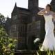 romantica-bridal-campaign-canterbury - Stunning Cheap Wedding Dresses