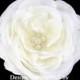 Pearl Crystal Cluster Ivory Gracie English Rose Bridal Hair Flower Clip