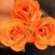 Autumn Rose Bridal Hair Accessories - Orange Paper Flower Brass Bobby Pin - Set of 3