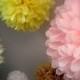 CUSTOM COLORS / 10 tissue paper pom poms / wedding decorations / diy  / baby shower decoration / pompom / baby shower tissue paper pom