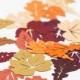 Autumn Leaf Table Confetti - Autumn Wedding Confetti - Thanksgiving Decorations - Party Decorations - Table Confetti - Woodland Wedding