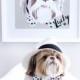 Custom pet portrait, custom pet print, dog portrait, dog print, pet print, custom pet print, pet art, dog art