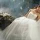 Alfred Angelo Disney Fairy Tale Weddings- Style 205- Cinderella - Elegant Wedding Dresses