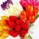 42 Colorful Artificial Silk Tulips Flowers Bouquet Wedding Bouquets Decoration Decor Red Yellow White Purple Pink Accessories Arranging