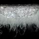 Swarovski Crystal and Ostrich Feather Croc Skin Bridal/Prom/Pageant/Evening Clutch...FREE SHIPPING!