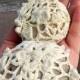 Lace Crochet Stones Shabby Chic Wedding Decor Home Art Sea Rock Romantic Style
