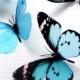 12 x Mixed Aqua 3D Transparent Butterflies