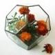 FREE SHIPPING! Medium stained glass terrarium Polyhedron Geometric planter Gardening indoor