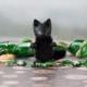 Tiny black wolf matchbox Halloween toy pocket miniature art collectible dog Woodland animals gift kids BJD