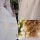 Scalloped Neck Sweep Train Lace Sashes / Ribbons Long Sleeve Newest Wedding Dresses in UK