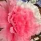 Corsage Pink Bridesmade's Mother-of-the-Bride's Corsage White Carnation Silk Handmade Formal Prom Wedding Ceremony Picture Acc