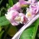 TROPICAL FLOWER CROWN - Real Touch, Hawaiian White Plumeria & Orchids, Headpiece, Tiara, Beach Wedding Accessory, Bridal Hair Accessory