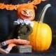 OOAK Art Doll Halloween Pumpkin Jack The height of 14.57 inches (37 cm).