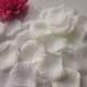 1000 Ivory Rose Petals Quality Confetti - Wedding Decorations