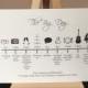 10x Order of the Wedding Day Timeline cards
