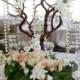 set of 12 20" manzanita branches 100% natural fresh trimmed for DIY wedding centerpieces