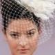 BIRD CAGE VEIL. Feathers headdress. Bridal veil. Fether fascinator, headpiece. White, ivory, champagne, black
