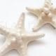 2 Natural Starfish Hair Clips, Freshwater Pearls-  Knobby Starfish - natural/ cream white, ivory - Destination. Beach Wedding