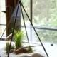 Terrarium, Glass Pyramid Planter with Air Plant, DIY Kit, Desk Accessory