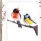 Tomtit, Robin bird, Birds print, Bird wall art, Geometric print, Bird illustration, New Zealand bird, Orange robin, Polygon art, Low poly