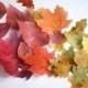 15 Edible leaves for cakes, large 1.5" to 3" sizes, various colors. Fall wedding cake topper leaf edible images.