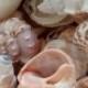1/2 Gallon - Large Mixed Seashells 1"-3" each.  - Weddings, crafts and coastal home decorating