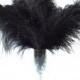10 Pcs 8-10" 10-12" 12-14" 14-16" 16-18" 20-22" Black Ostrich Feather Plume for Centrepieces and Craft!
