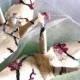 Cherry Blossom Peace Crane Wedding Cake Topper Party Favor Origami Christmas Ornament Japanese Bird Ivory Lotka Paper