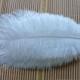 200 pcs white ostrich feather plume for wedding centerpiece wedding decor party event supplies decor